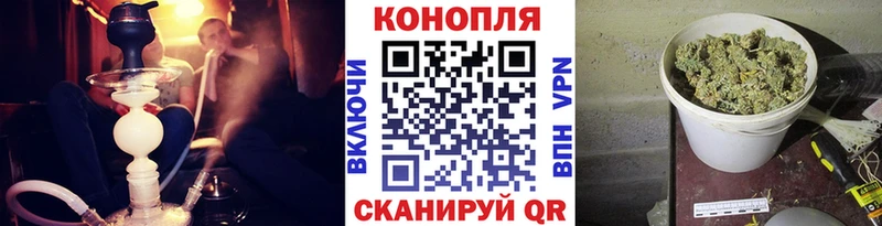 Бошки марихуана THC 21%  Купить  Сысерть 